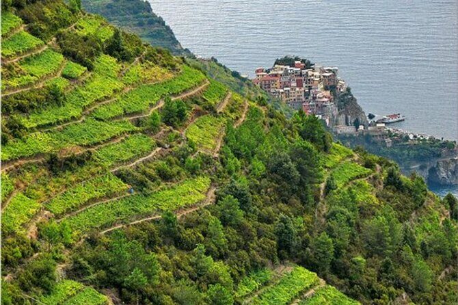BarCa Winery Cinqueterre Trekking & Wine Tasting & Pesto Class - The Manarola–Volastra vineyard trek: views, paths, and grape talk