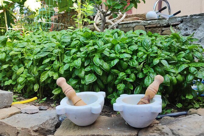 BarCa Winery Cinqueterre Trekking & Wine Tasting & Pesto Class - Why Andrea and Lorenzo’s hosting style matters (a lot)