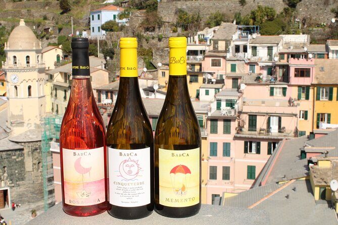 BarCa Winery Cinqueterre Trekking & Wine Tasting & Pesto Class - Entering the cellar: how BarCa explains Cinque Terre wine