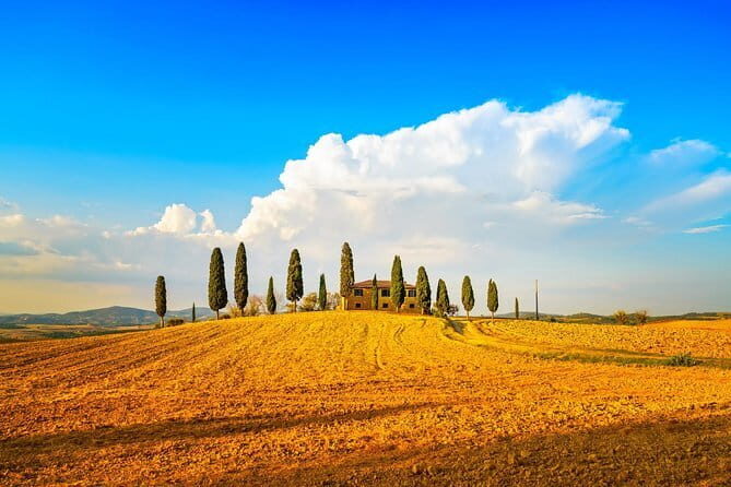 Cinque Terre and Pisa Full Day Tour from Florence - Timing, regrouping, and the real rhythm of the day