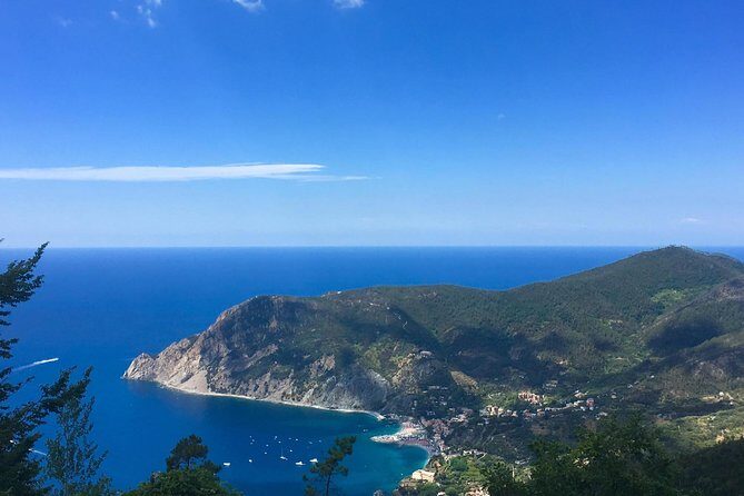 Cinque Terre and Pisa Private Tour from Livorno - Price and Value: Is a Private Day Worth It?