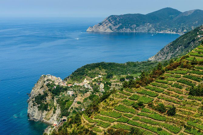 Cinque Terre and Pisa Shared Shore Excursion from Livorno - Price and value: what you’re paying for (and what you’re not)