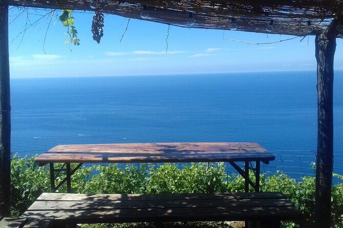 Cinque Terre by train and boat (no ferries in winter) - Starting in La Spezia: why this plan makes sense