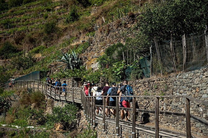 Cinque Terre Day Trip with Optional Hiking or Pisa - A full day from Florence: why this trip works