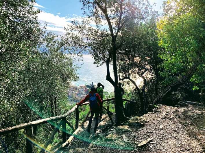 Cinque Terre: Eco Hiking and Wine Tasting - Key Highlights to Know Before You Go