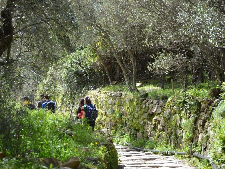 Cinque Terre: Eco Hiking and Wine Tasting - Practicalities that matter: shoes, water, and heat strategy