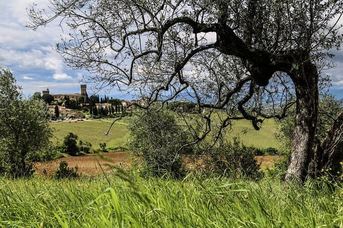 Cinque Terre & Pisa Premium Tour from Florence - Vernazza Free Time: Time to Wander and Pick Your Photos