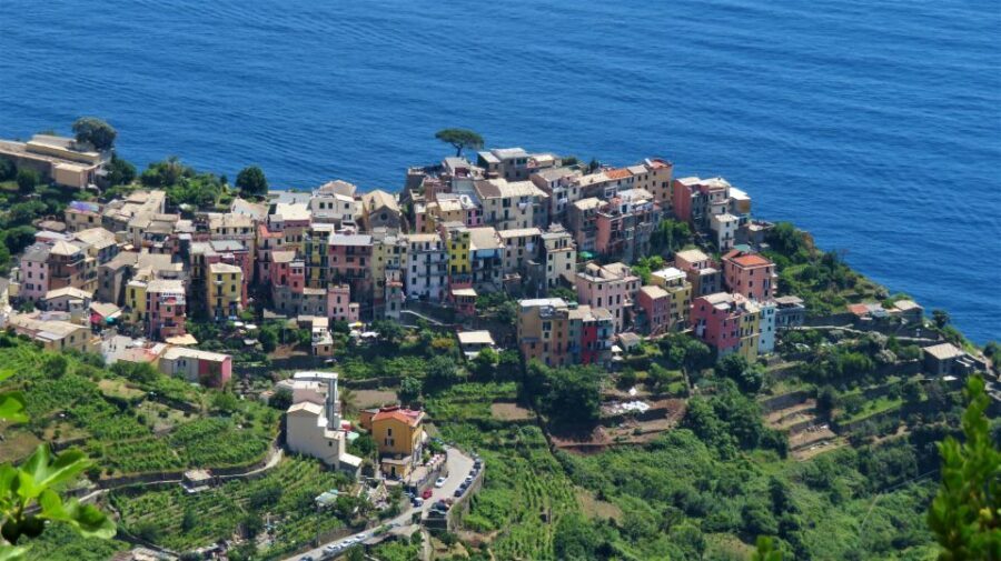 Cinque Terre Private Day Trip from Florence - Who This Trip Suits Best (And Who Should Rethink It)