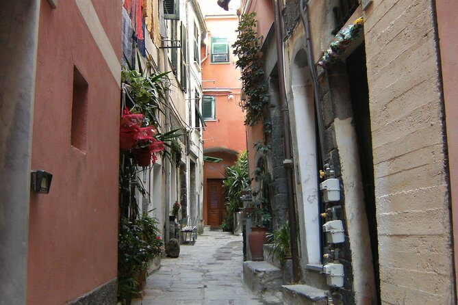 Cinque Terre Shore Excursions from Livorno Port - Price and group size: when $1,261.47 feels fair