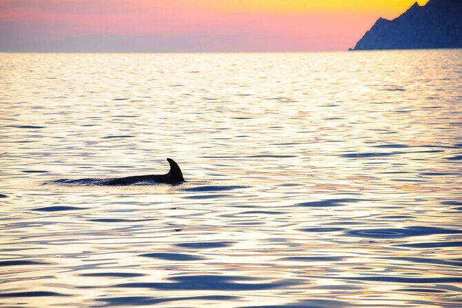 Cinque Terre Sunset Cruise with Aperitif from Monterosso - The 2h 45m Cruise Rhythm: What the Timing Really Means
