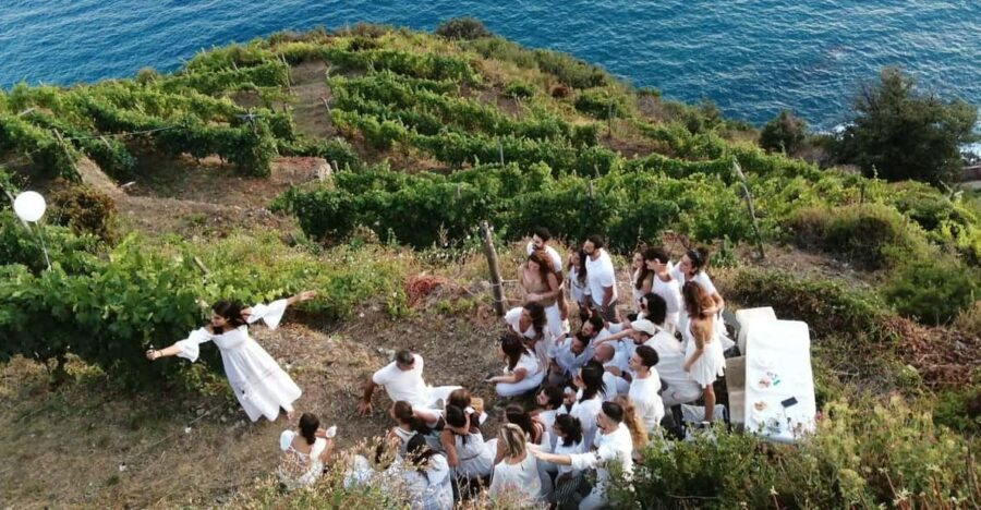 Cinque Terre: tasting in the cellar with visit to vineyards - Price and value: what $69 buys you in real terms