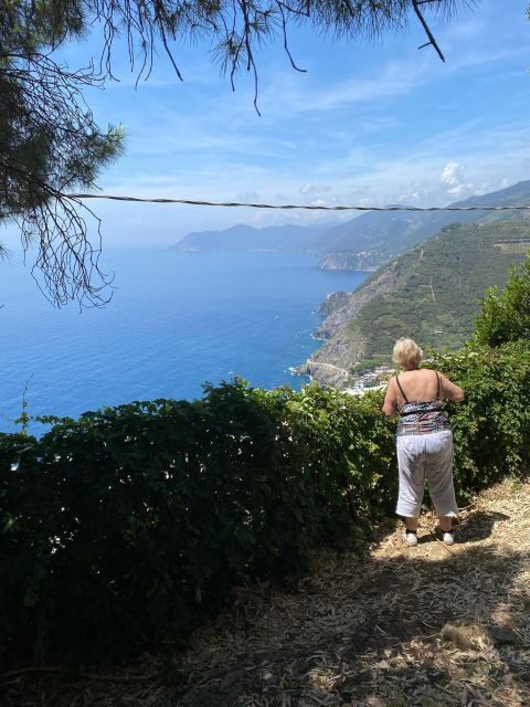 Cinque Terre Tour by van from Lucca, Pisa or La Spezia - Riomaggiore choice: van drop-off or train to save your legs