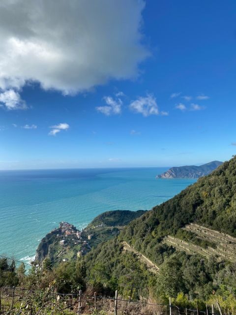 Cinque Terre Tour by van from Lucca, Pisa or La Spezia - What the “wild place” means for your comfort (and your photos)
