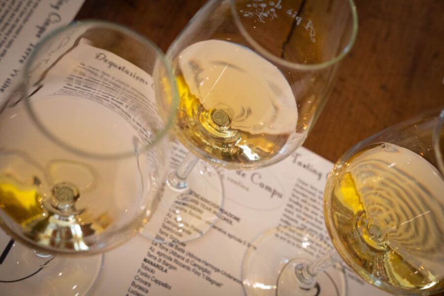 Cinque Terre: Wine Tasting and Walking Tour - Three wines from different cellars: how to actually compare