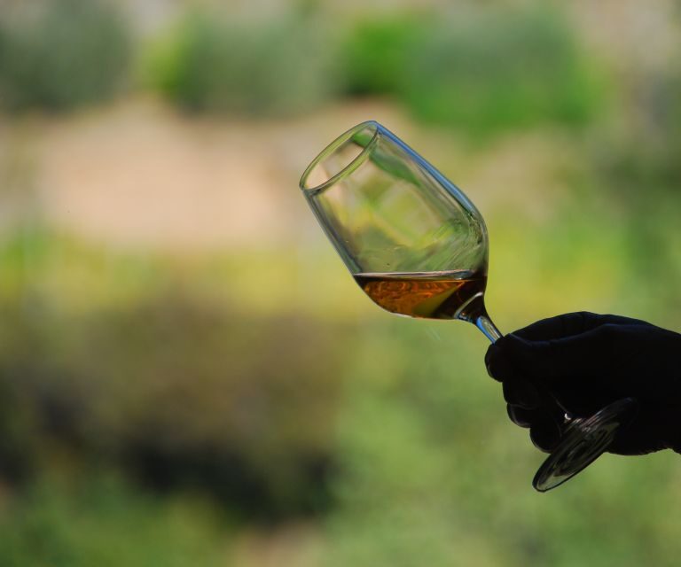 Cinque Terre: Wine Tasting in Monterosso - Key things you’ll notice in this Monterosso wine tasting