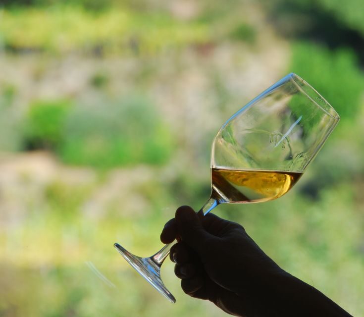 Cinque Terre: Wine Tasting in Monterosso - Tradition, natural methods, and the new generation of winemakers