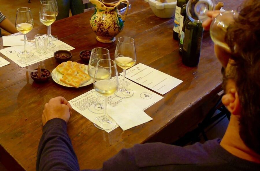 Cinque terre wine tour and tasting with the somelier - The Sommelier Tasting: From Aromas to Real Sensations