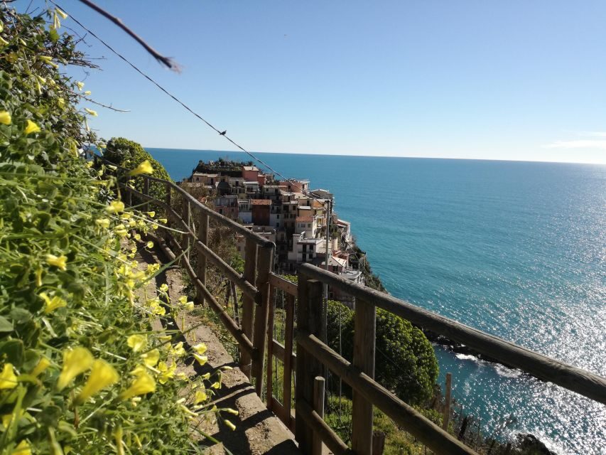 Cinque terre wine tour and tasting with the somelier - Getting There: Meeting Point Near Manarola Church Square