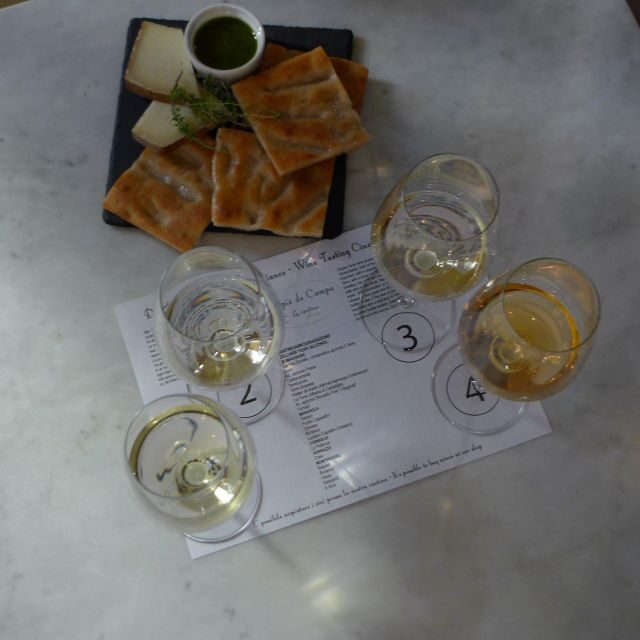 Cinque terre wine tour and tasting with the somelier - Language and Pace: English and Italian, Plus a Real Sense of Flow