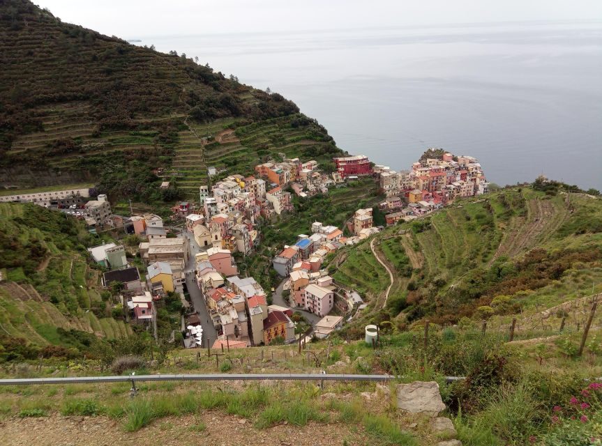 Cinque terre wine tour and tasting with the somelier - Who This Tour Suits Best