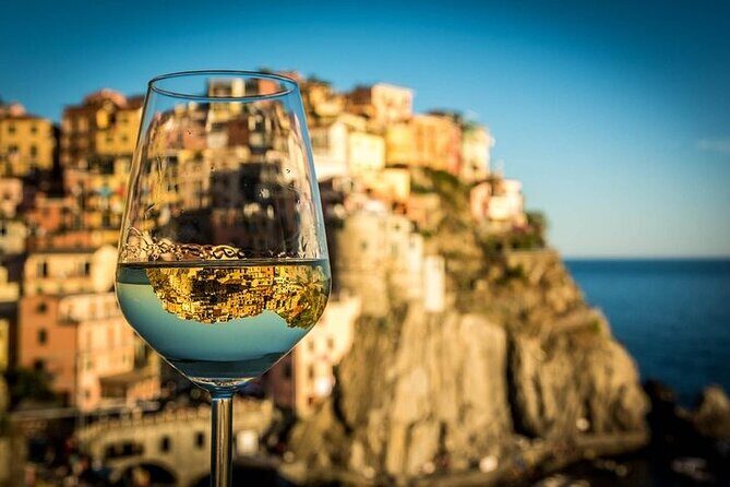 Cinque terre wine tour and tasting with the somelier in Manarola - Reading the Vines: Soil, Pruning, and Production Practices