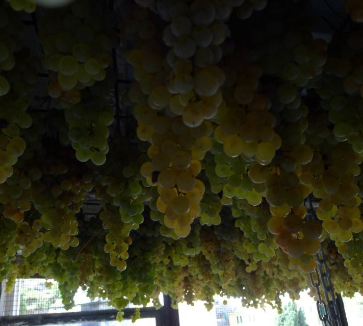 Cinque terre wine tour and tasting with the somelier - Dry-Stone Walls, Manarola Views, and What the Vineyard Teaches