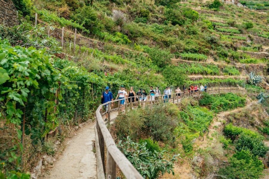 Florence: Cinque Terre Day Trip with Optional Hike - The bus to La Spezia: where you get bearings fast