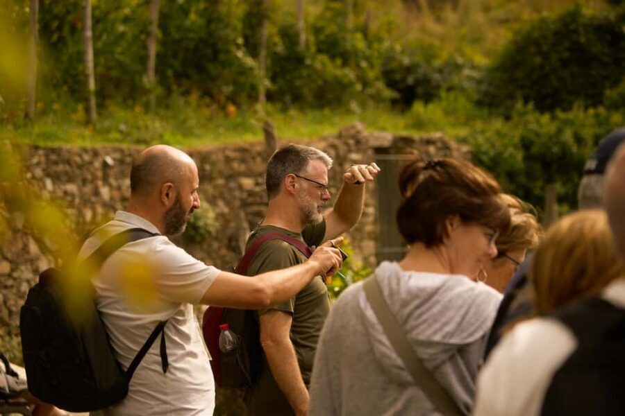 From Florence: Cinque Terre Day Trip with Local Guide - Manarola, Vernazza, Corniglia: how the village stops really work
