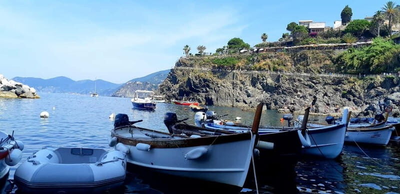 From Florence: Small-group to Cinque Terre and Pisa Day Tour - The guide and small-group advantage (the part that makes it feel worth it)
