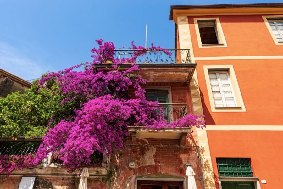 From La Spezia: Highlights of Cinque Terre with A Guide - Vernazza by ferry, with Doria Castle terrace as your anchor