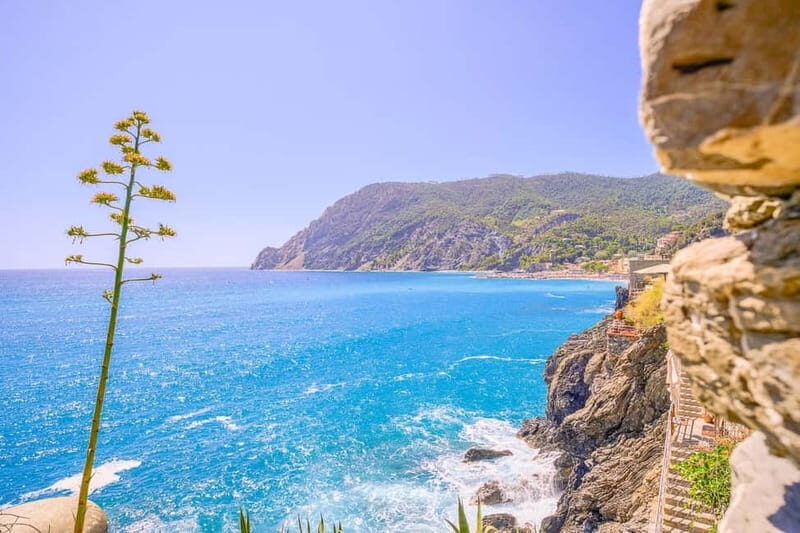 From Milan:Cinque Terre National Park with Limoncino Tasting - Who This Tour Fits Best (and Who Might Struggle)