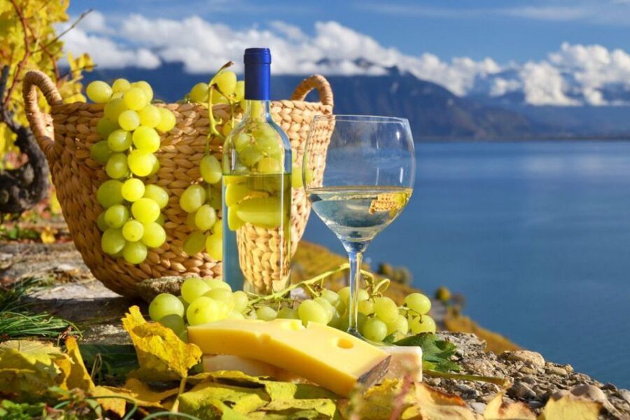 From Pisa: Cinque Terre Small Group Tour - Transportation Comfort From Pisa and Lucca