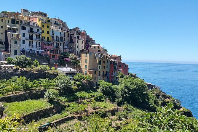 Guided Day Tour on Private Boat to Cinque Terre private boat - Palmaria Island: the quiet island look-and-feel