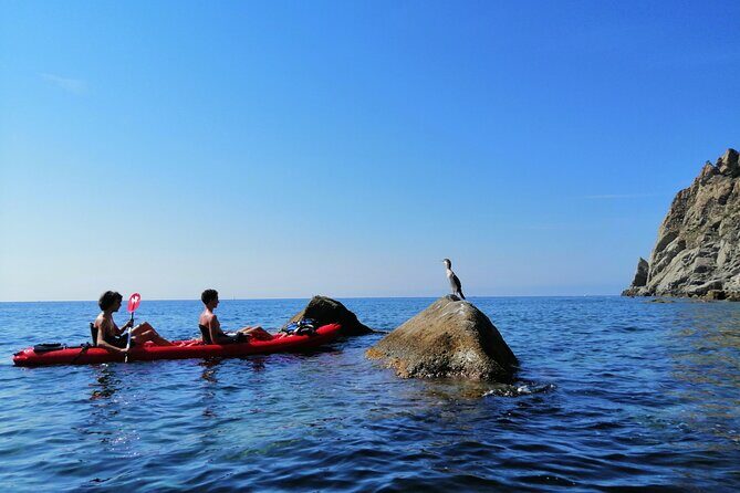 Kayak experience with Carnassa Tour in Cinque Terre + Snorkeling - Mon­ter­os­so Coastline Route: Historic Corners You Can Only Reach by Water