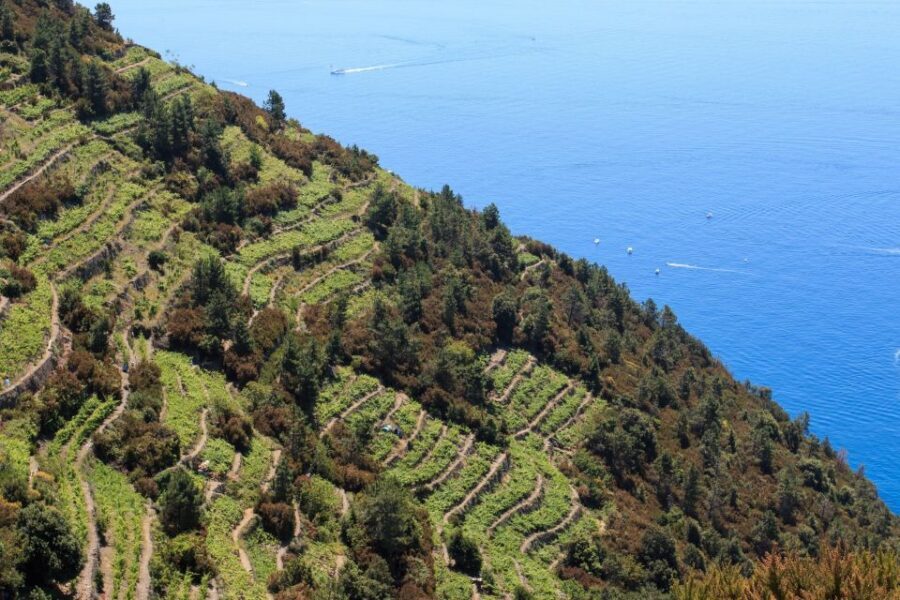 La Spezia: Cinque Terre Guided Hiking Tour - Price and Logistics: Does $94 Feel Fair?