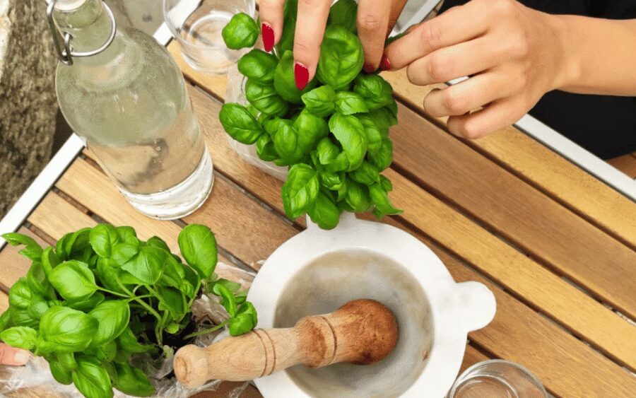 Manarola: Authentic Pesto Making Class at Cinque Terre - Key things to know before you go