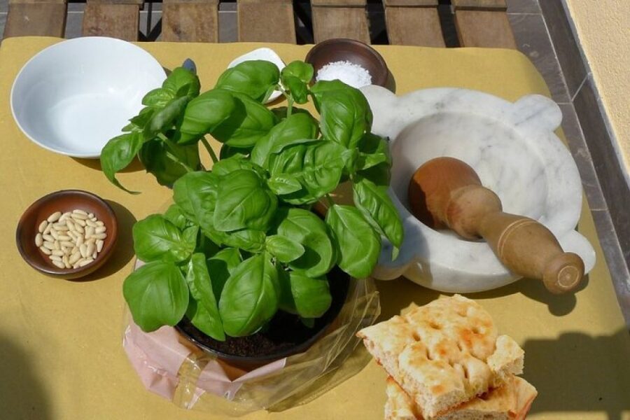 Manarola: Authentic Pesto Making Class at Cinque Terre - The Tasting Table: Focaccia, Wine, and Pesto That Ends the Lesson