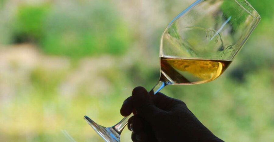 Manarola: Cinque Terre Wine Tasting - Snack pairings that feel intentional, not random