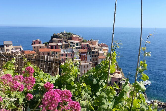 Manarola Wine Tasting Experience with Maria - Key highlights you should care about
