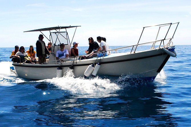 Private Cinque Terre Boat Tour - Why This Private Boat Tour Works in Cinque Terre