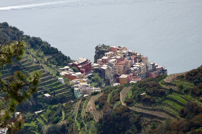 Private Cinque Terre Trek & Tour - What You Learn on the Trail: Vineyards, History, and Herb Spotting