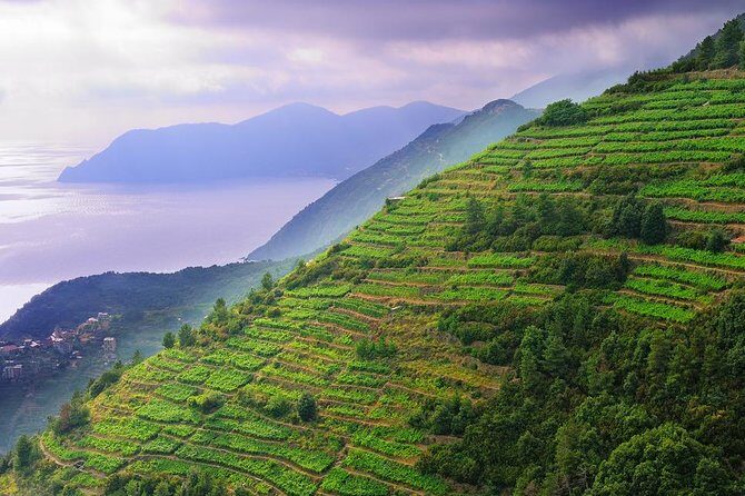 Private EASY Cinque Terre & Pisa Accessible Tour from Livorno - Optional ferry: when water time makes the day feel longer