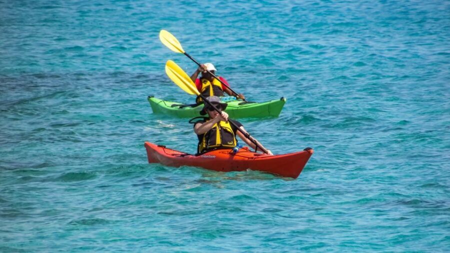 Rent canoe - kayak Riomaggiore - Paddling the Sea of the Five Lands: Views, Wildlife, and Real Effort