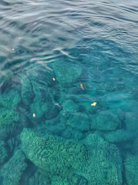 Riomaggiore: Cinque Terre Daytime Cruise with Snorkeling - Time management: the tour is short, so it stays focused