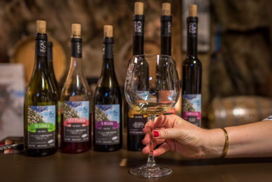 Riomaggiore: Vineyard & Wine Cellar Tour with Wine Tasting - Key points to know before you go