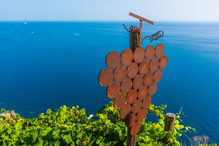 Riomaggiore: Vineyard & Wine Cellar Tour with Wine Tasting - Getting There: Finding Heydi in Riomaggiore without Stress