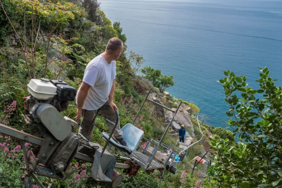 Riomaggiore: Vineyard & Wine Cellar Tour with Wine Tasting - Price and Value: Is $92 Worth It for a Cinque Terre Wine Tour?