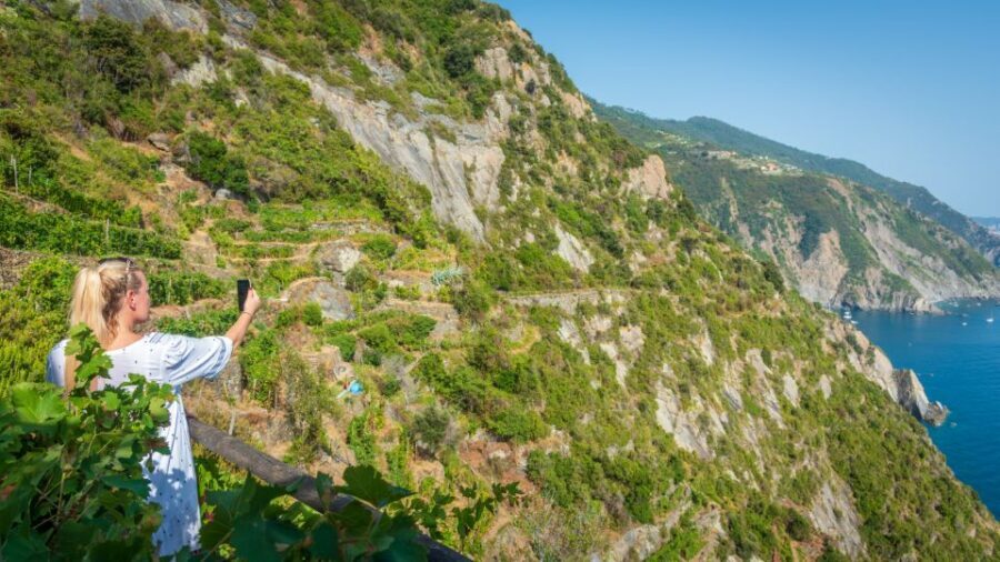 Riomaggiore: Vineyard & Wine Cellar Tour with Wine Tasting - The Main Event: Vineyard Views from a Hill That Drops to the Sea
