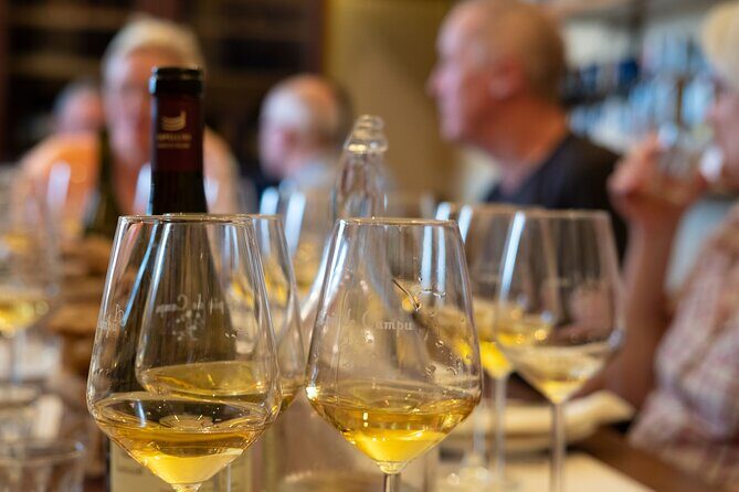 Sensorial wine tasting in Manarola, Cinque terre - The Post-Tasting Vineyard Path Walk and Manarola Views