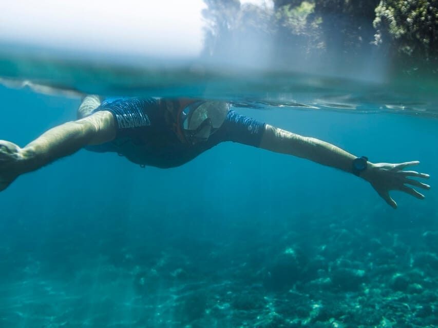 Snorkelling & Marine Biology Experience in the Cinque Terre - Gear you get, and what you should pack